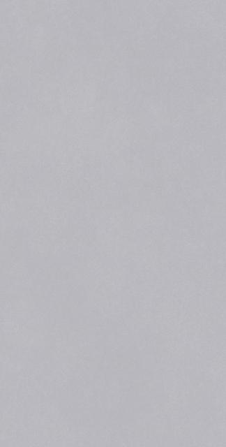 肌膚釉 佛羅倫中灰